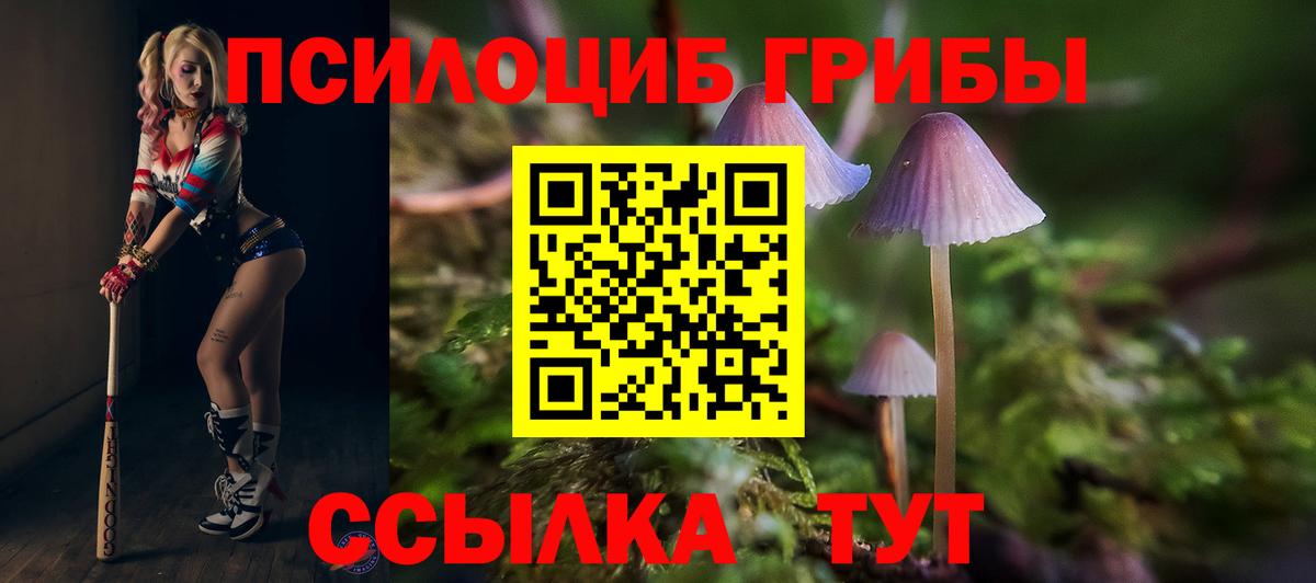 Псилоцибиновые грибы Magic Shrooms  Вход с VPN  Сургут 