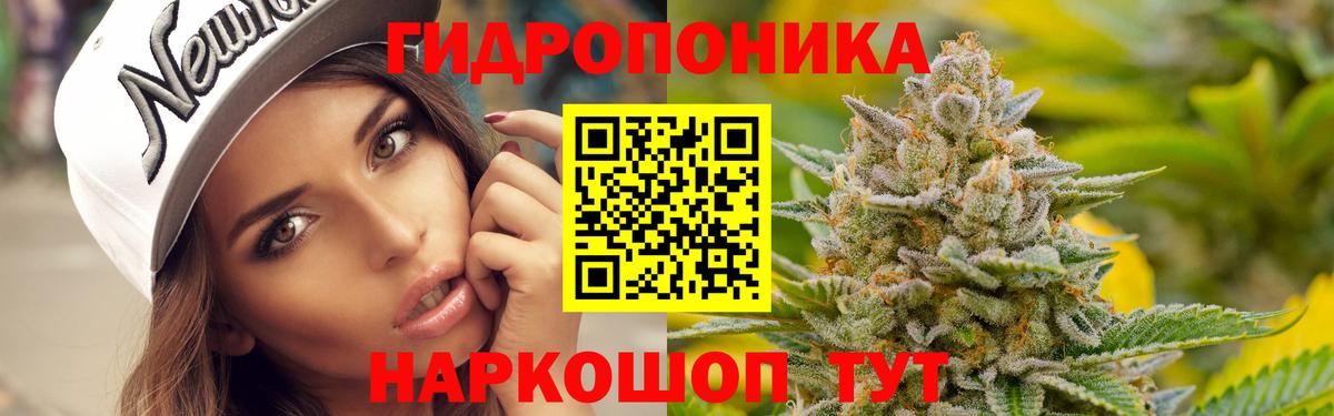 Бошки марихуана SATIVA & INDICA  Канабис SATIVA & INDICA  Сургут  Вход с VPN  Каннабис гибрид 